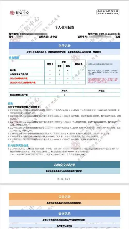 征信帮忙看一下呗