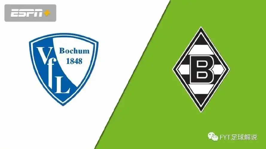 德甲波鸿v门兴格拉德巴赫