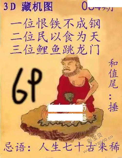 2024年3d064期正版藏机图新版藏机图