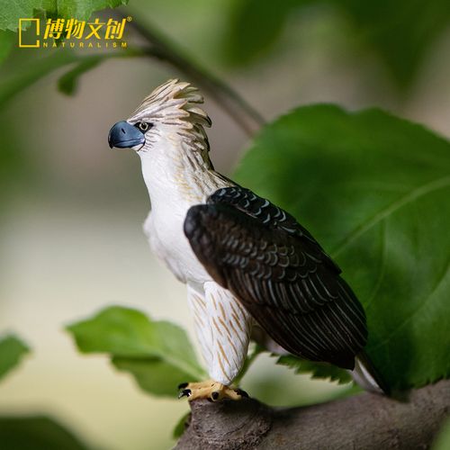 博物文创 天然猛禽雕系列 潮流模型手办摆件动物逼真写实科普生日礼物