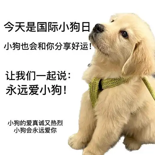 今天是国际小狗日 跟我一起说:永远爱小狗!