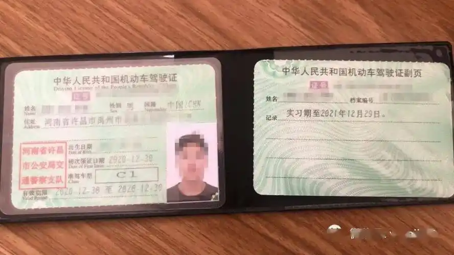 禹州一小伙驾驶证到手13天就没了.