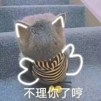 不理你了哼(猫咪)_猫咪_不理表情