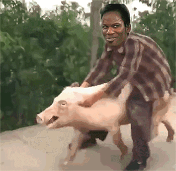 骑猪gif_gif_骑猪表情