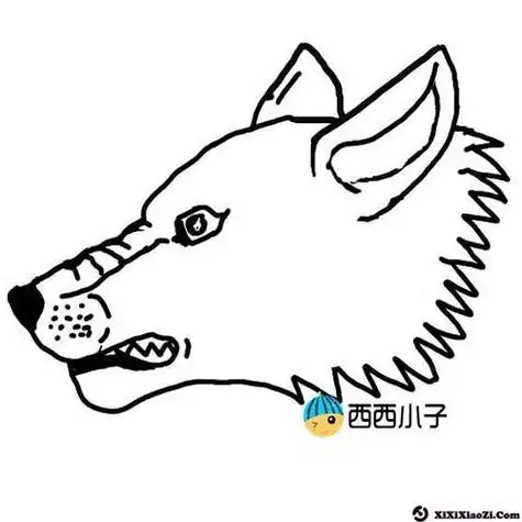 儿童开心的大灰狼简笔画图片大灰狼头像简笔画彩色大灰狼的简笔画画法