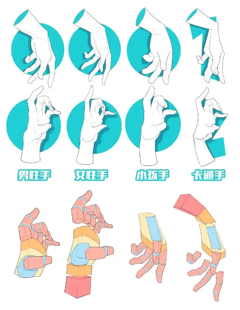 手部结构解析.#画画 #人体结构 #一起学画画 #每日一画  - 抖音