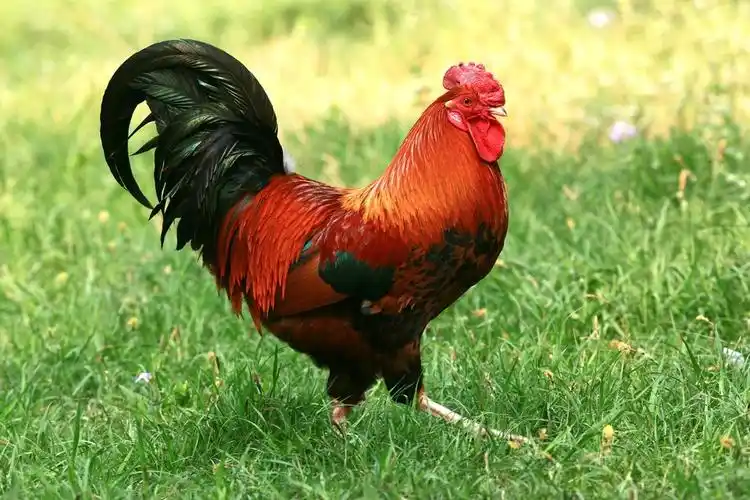 关于我们 about us位于五岳之首的泰山脚下,环境优美,交通便利