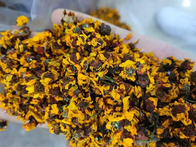 雪菊花茶的功效与作用及禁忌雪菊对女人妇科的好处