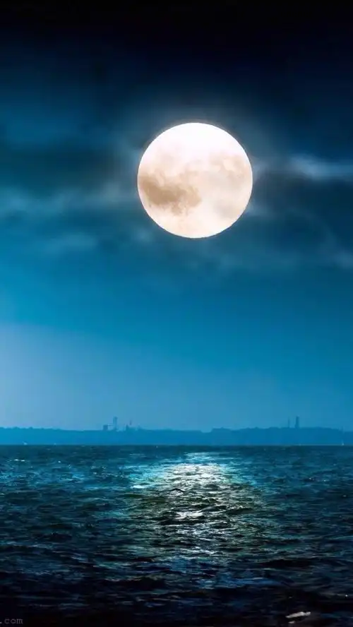 月色醉人 月光皎洁 我们今晚去赏月吧 唯美壁纸 自然风景 夜景 夜色