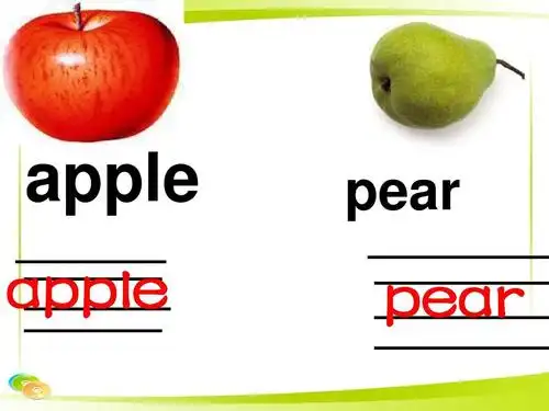 2015年秋人教新版(精通)英语四年级上册《unit 3 it