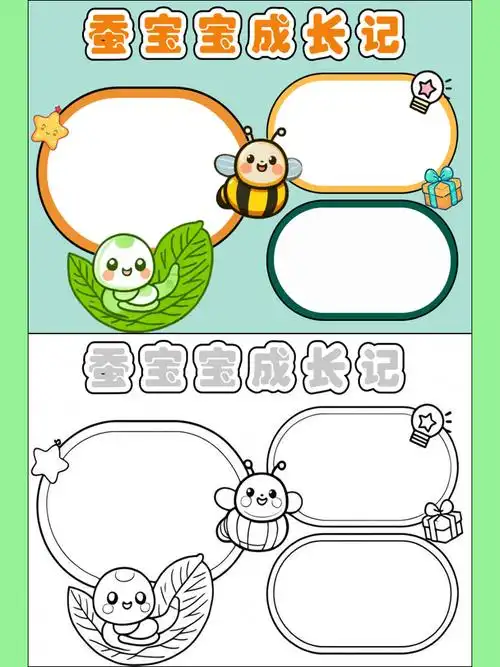 蚕生长过程的手抄报