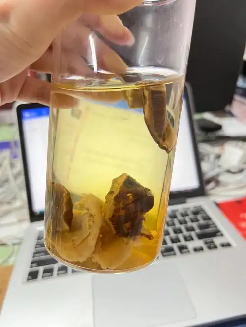 红参77灵芝泡水喝益气安神