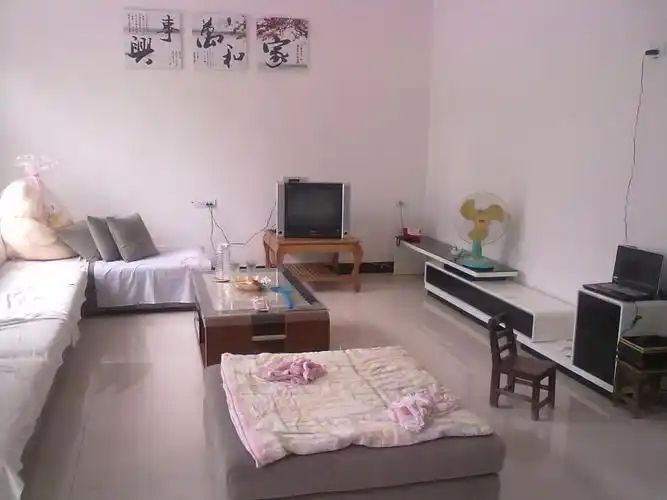 农村平房设计图大全十万元