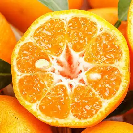 宜昌应季新鲜水果椪柑5斤券后15.9元包邮