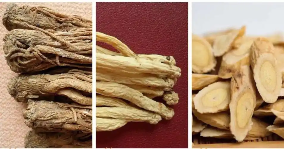 人参沙参明党参和党参的区别是什么呢