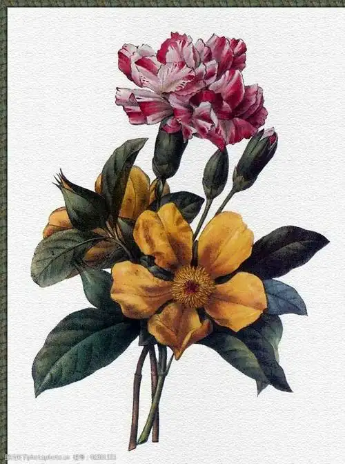 装饰画水彩植物花藤图片