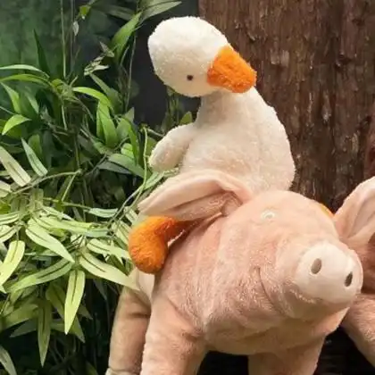 小动物头像可爱搞怪高清图片