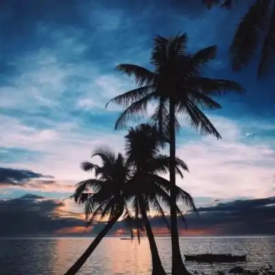 一棵树的美好风景图片头像