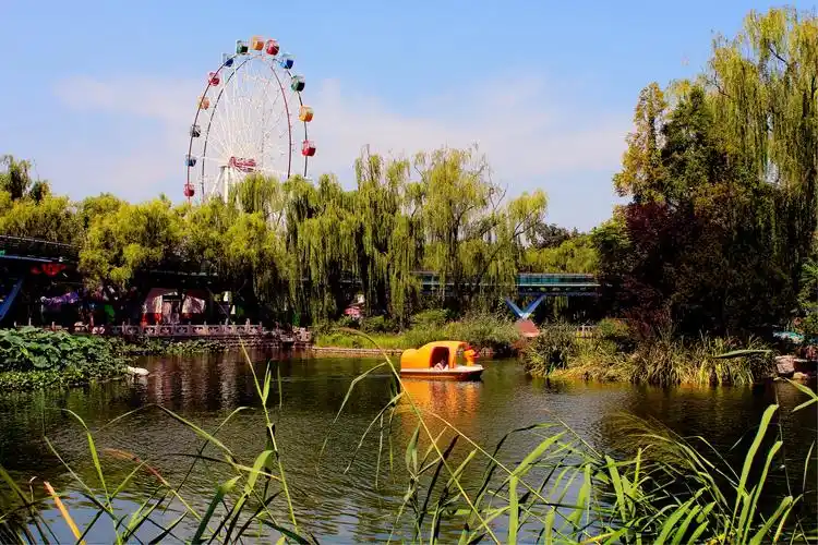 漫游泉城公园随拍