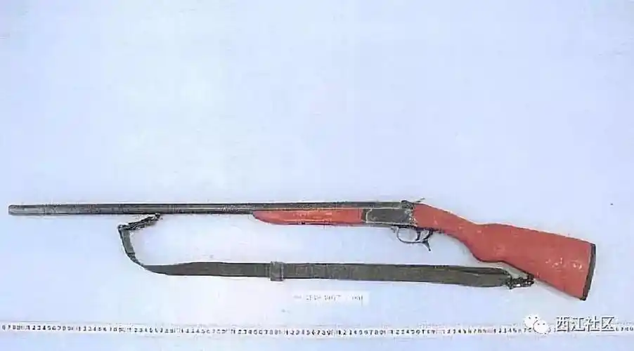 男子花7000元网上购枪欲打猎,被藤县警方抓获