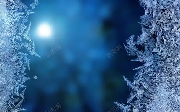 蓝色冰凌花唯美冰晶