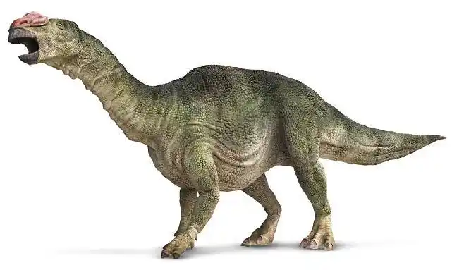 木他龙高分辨率ivxw7b