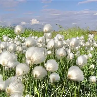 夏天风景头像(精选21张)-非主流之家
