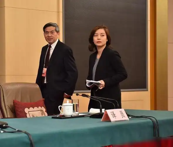 最美翻译官张京走红为梦想放弃清北酷似赵薇颜值不输王冰冰