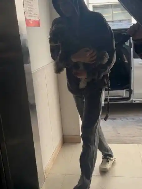 刘宇宁南珩##刘宇宁