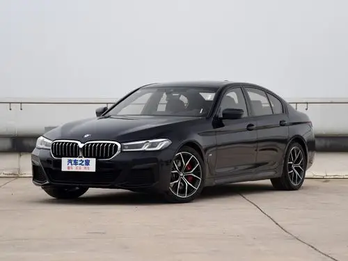 宝马(进口) 宝马5系(进口) 2021款 530i 风尚版 m运动套装