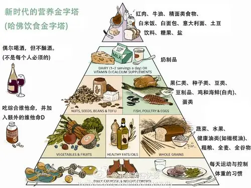 营养膳食金字塔.jpg