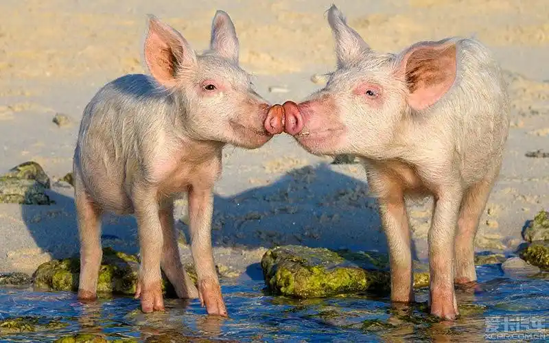 成都天权教育怎么样?有知道的吗?来说说吧