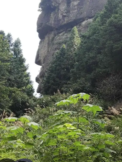 台州-神仙居之旅二
