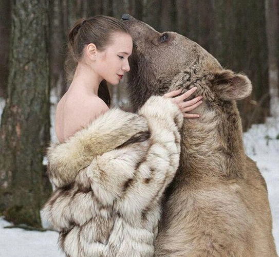 1/7 真实版美女与野兽俄罗斯美女和熊的合影