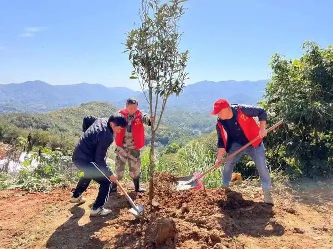 植树造林添新绿东田镇开展义务植树活动