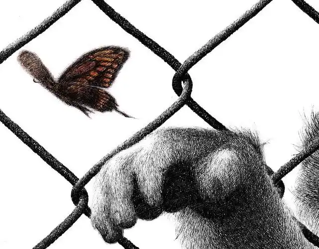 oy钢笔画自由与束缚