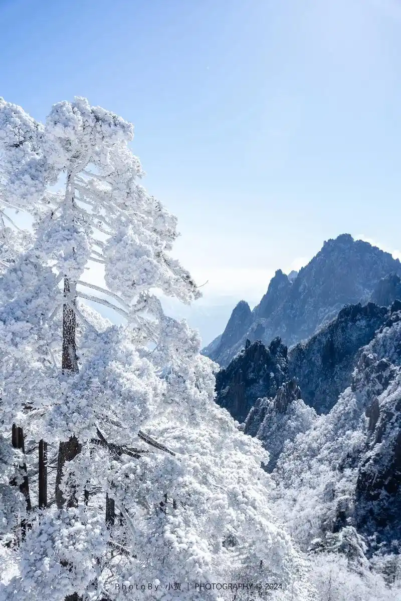 《黄山·雪》"黄山四季皆胜景,唯有腊冬景更佳"一个人说走就 - 抖音