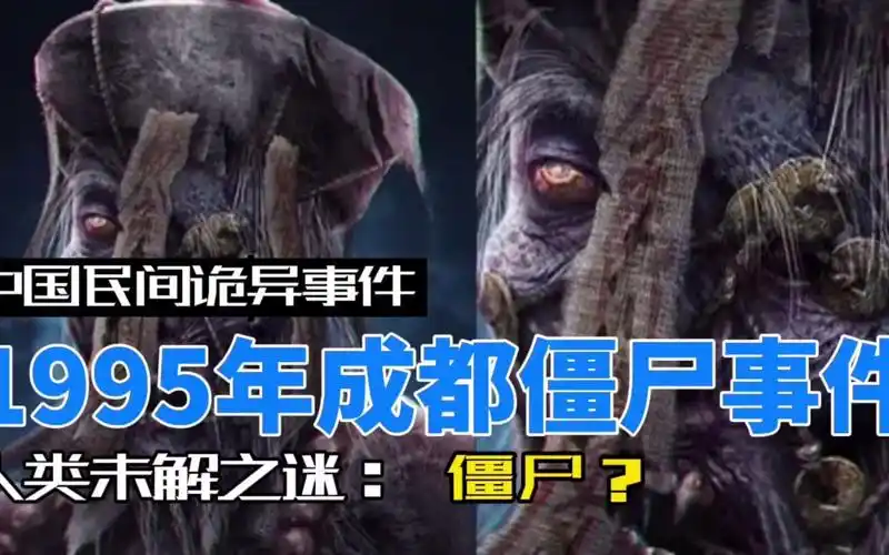 揭秘1995成都出现僵尸的真相中国民间传说