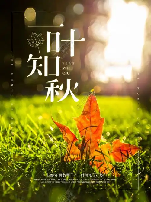 首页 平面广告 海报 节日海报 >唯美简约一叶知秋秋天海报设计 千图网