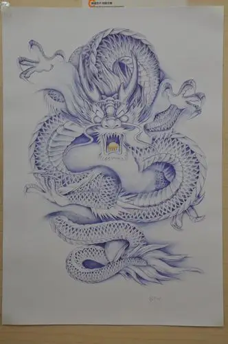 毕鹏伟--《飞龙》圆珠笔画