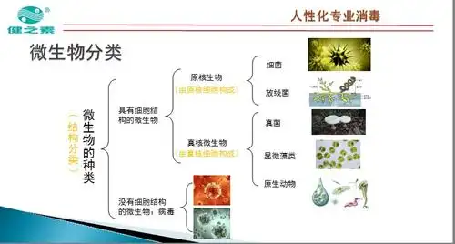 居家微生物简介
