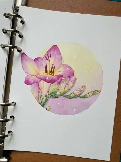 零基础水彩花卉原创香雪兰