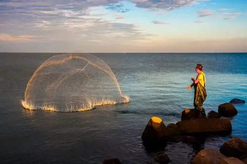 黄金海中捕鱼忙