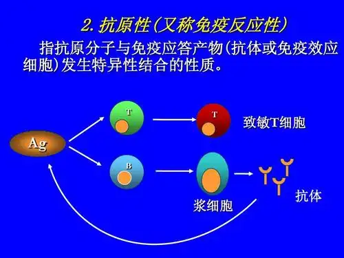 第4部分 显微镜下的微世界课程-抗原与抗体ppt