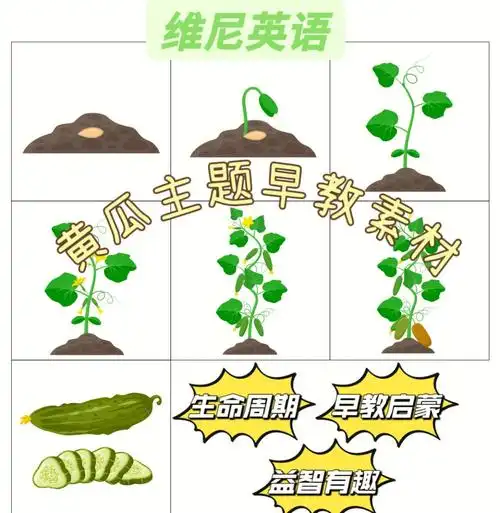 超级可爱的黄瓜06早教素材赶紧收藏起来