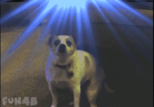 尬舞我只服赵四,社会摇我只服这些狗子!