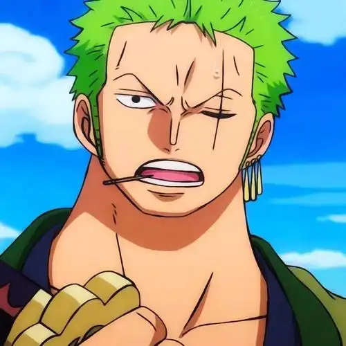 海贼王索隆头像_侵权