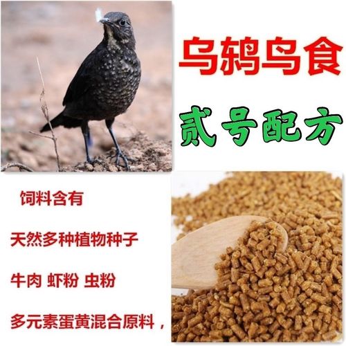 贵州系乌鸫鸟食鸟粮鹩哥八哥鸟食饲料