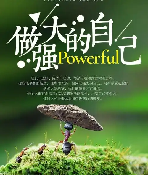 成长的蜕变—盘点一年级上,送给三班即将迎来假期的你们