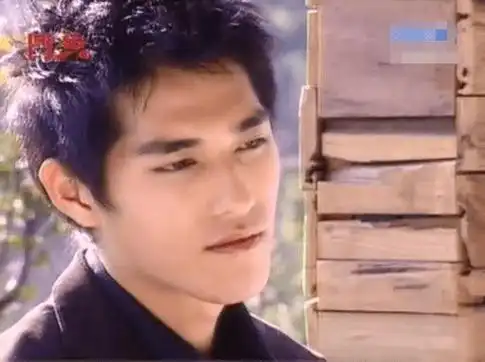 蓝正龙是中国台湾的男演员,大家对他印象比较深刻的应该是《流星花园